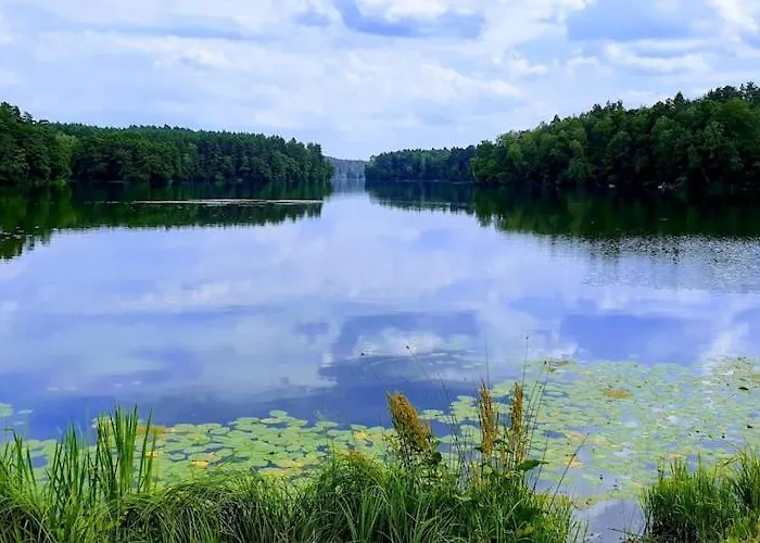 Vakantiehuis Large With Garden, Close To The