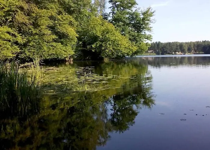 Large With Garden, Close To The